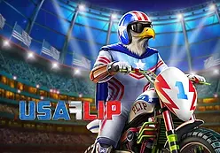 USA Flip